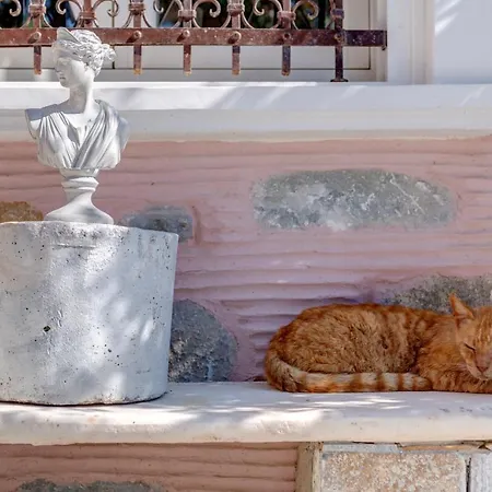 Сasa de vacaciones Alma Libre Syros *