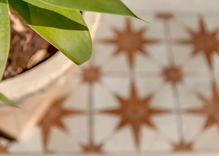 Alma Libre Syros Ermoupoli