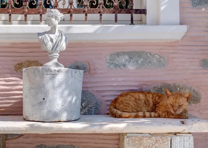 Vakantiehuis Alma Libre Syros *